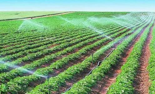 操我插我下面在线观看农田高 效节水灌溉